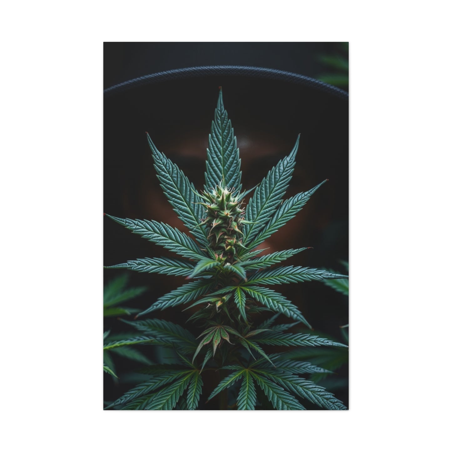 The Emerald Odyssey Wall Art & Canvas Print