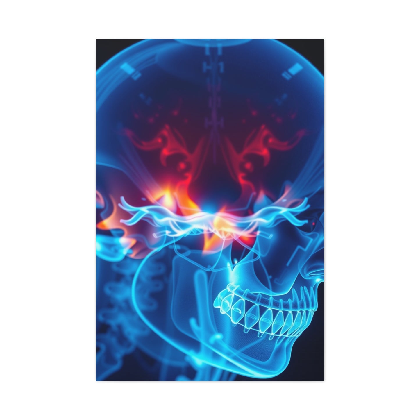 X-Ray Photography Art Luxury Canvas Wall Art & Canvas Print