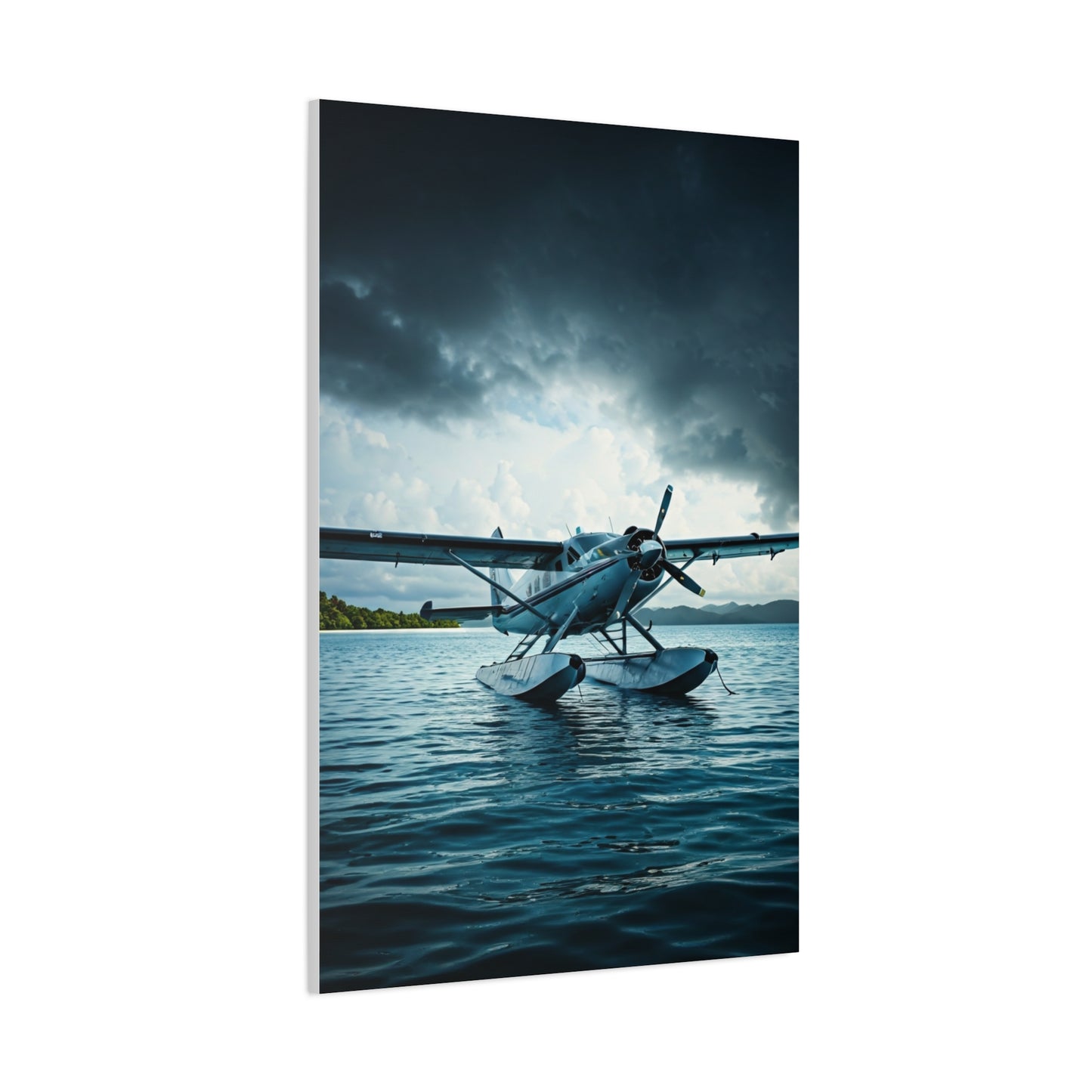 Seaplane Landing on Calm Waters Wall Art & Canvas Prints