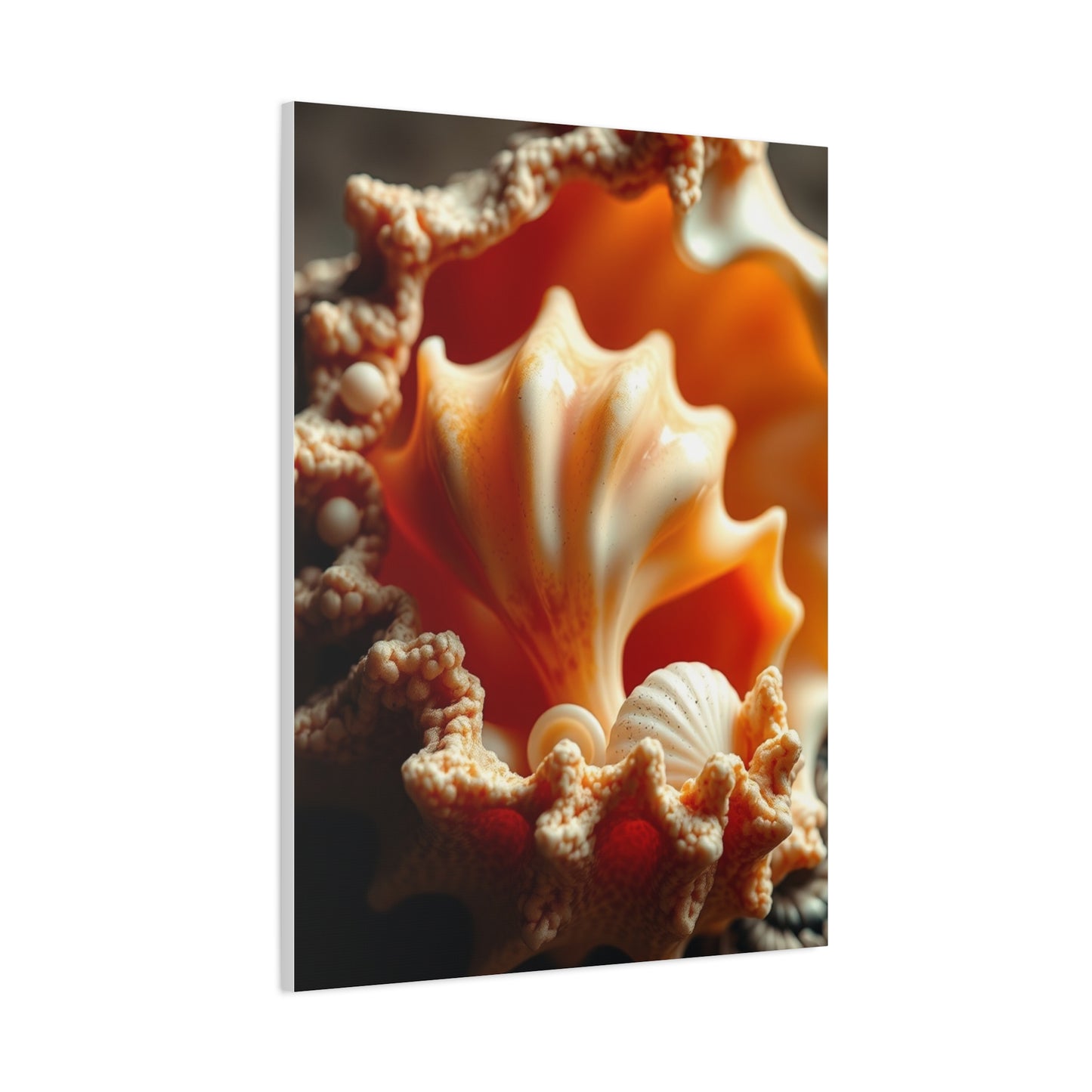 Supreme Shells Art Collection Wall Art & Canvas Print