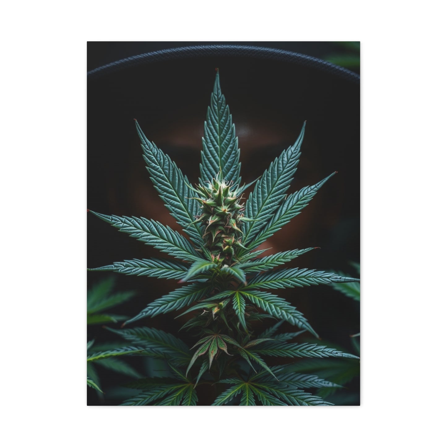 The Emerald Odyssey Wall Art & Canvas Print