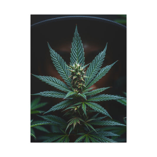 The Emerald Odyssey Wall Art & Canvas Print