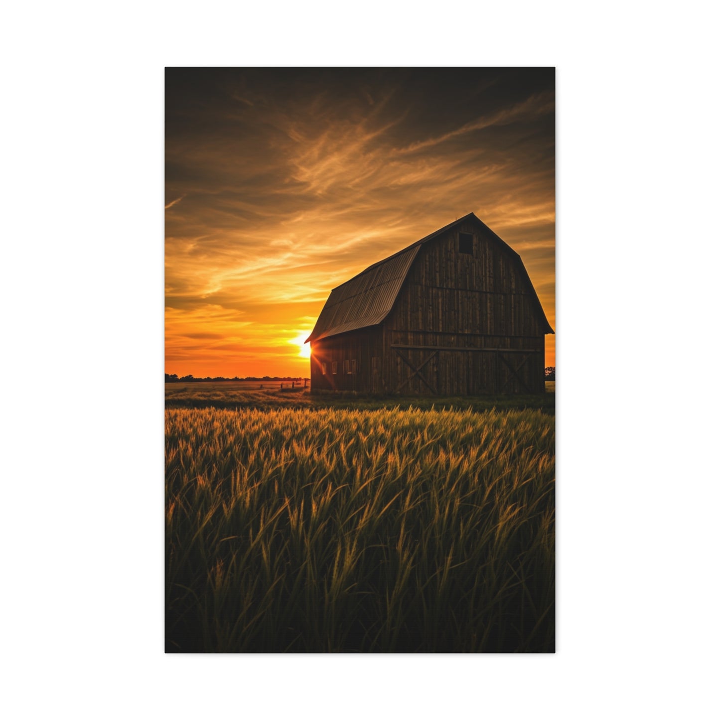 Sunset Barn in Tall Wheat Fields Wall Art & Canvas Prints