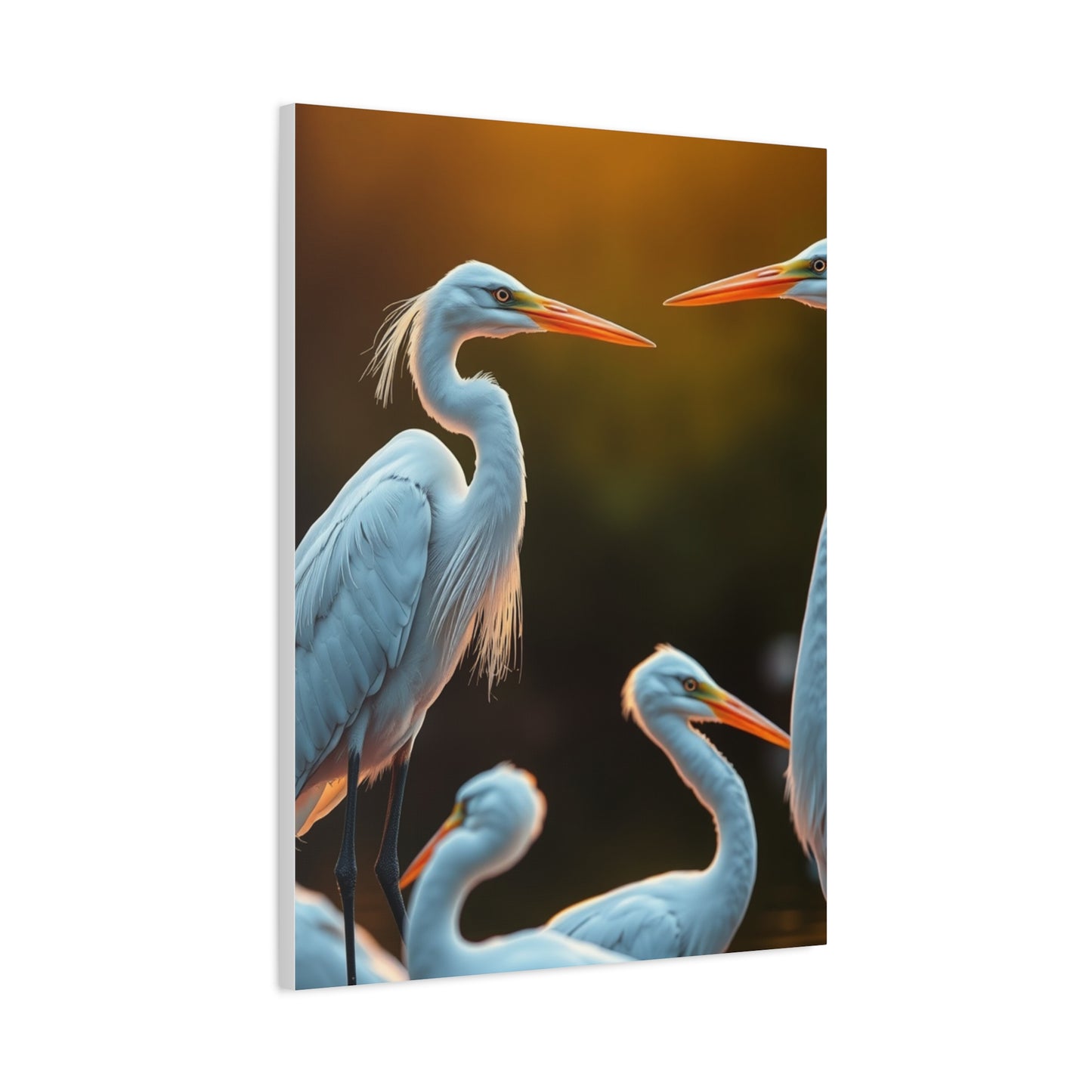 Supreme Herons and Egrets Art Collection Wall Art & Canvas Print