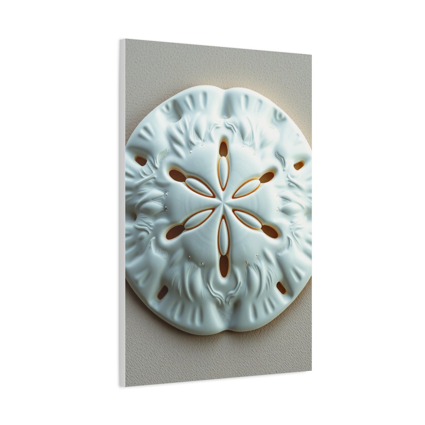 Sand Dollar Art Luxury Canvas Wall Art & Canvas Print