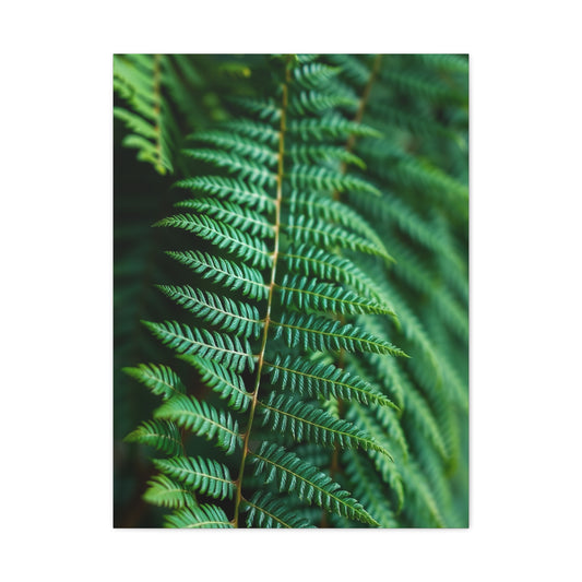 Elite Fern Art Vision Wall Art & Canvas Print