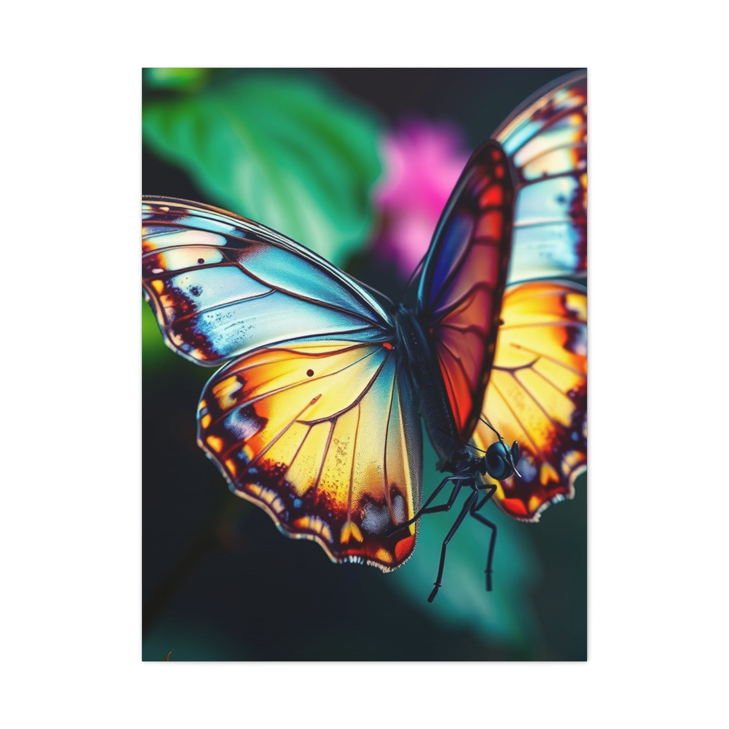 Exquisite Lepidoptera Panorama Wall Art & Canvas Print