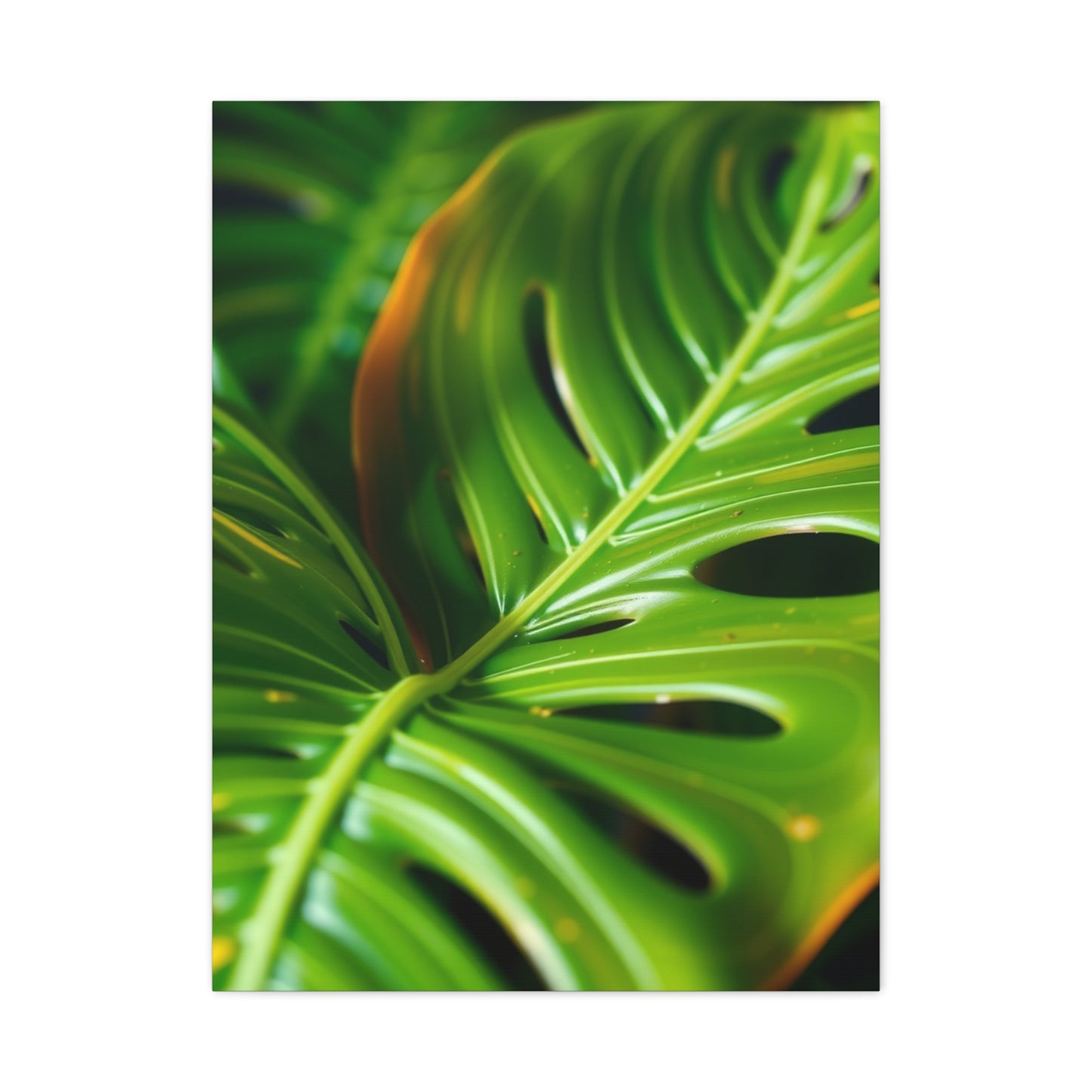 Supreme Monstera Plant Art Collection Wall Art & Canvas Print