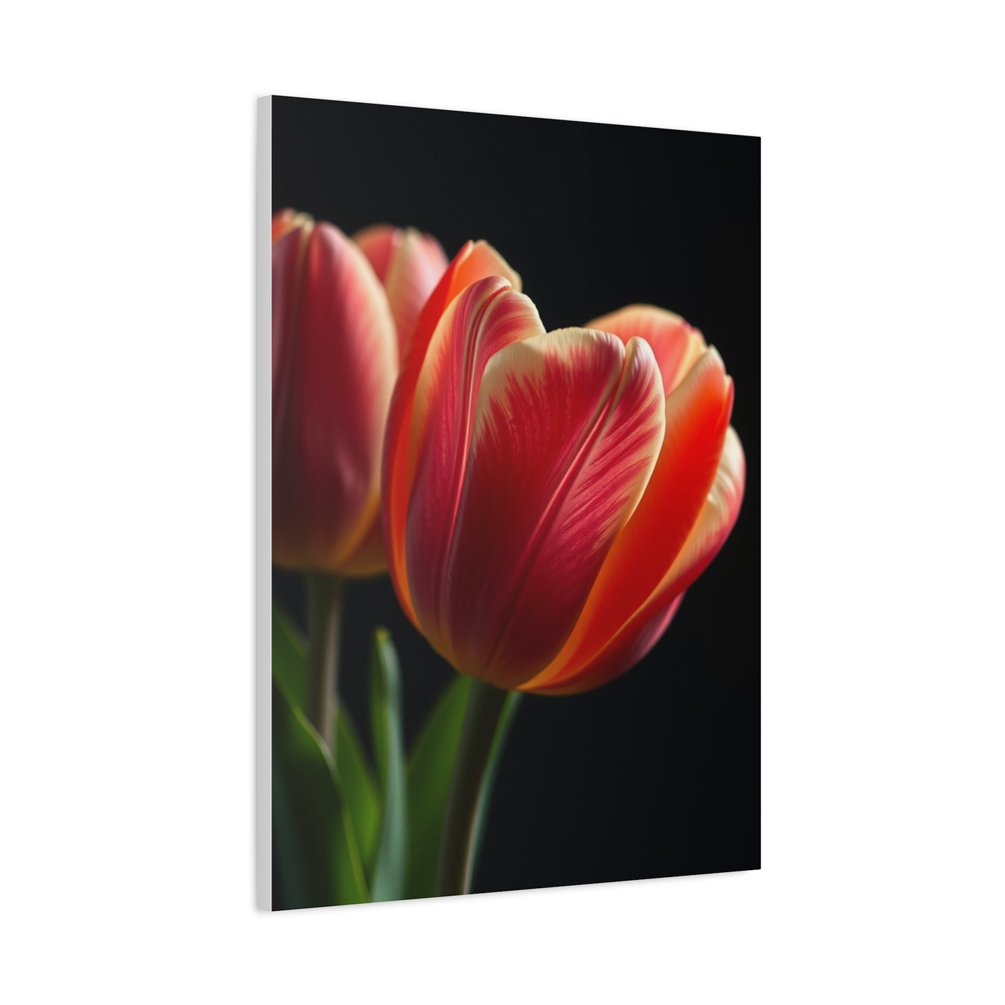 Tulip Flower Art Supreme Gallery Wall Art & Canvas Print
