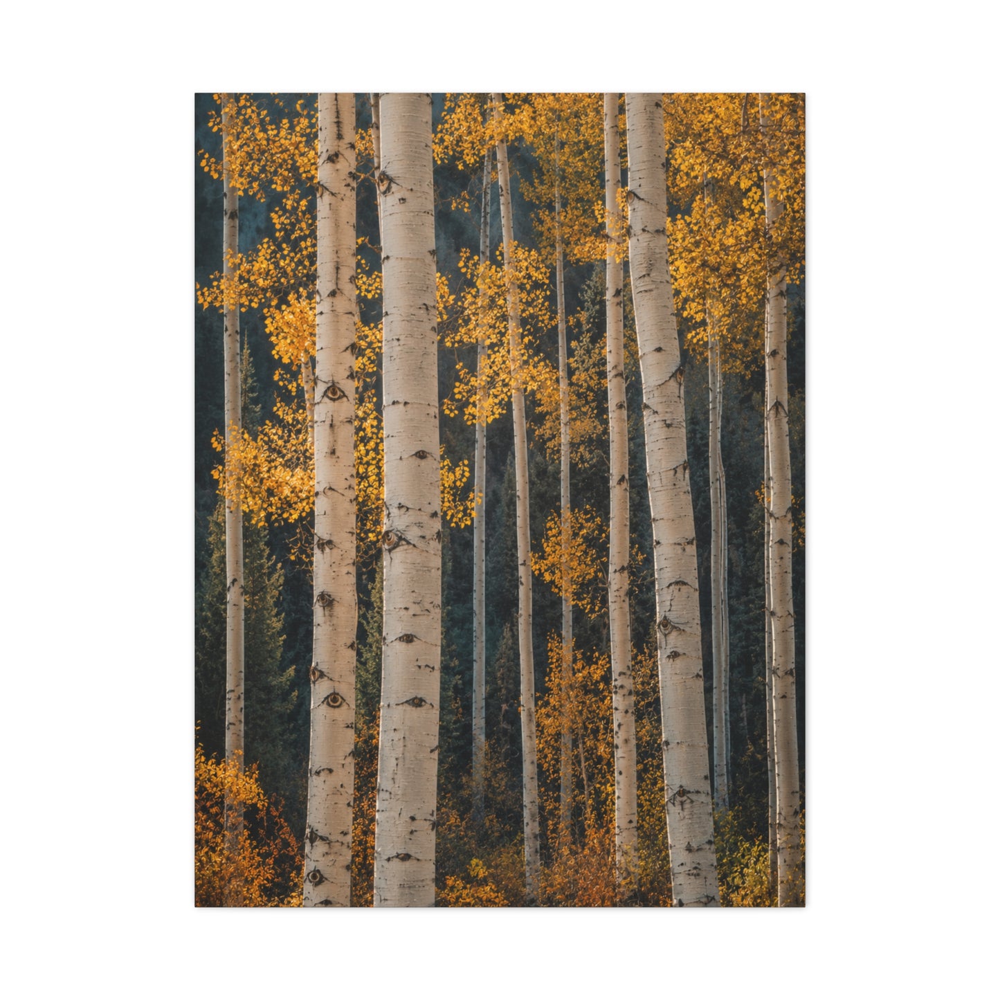 Golden Aspen Forest Autumn Vertical Trees Wall Art & Canvas Print