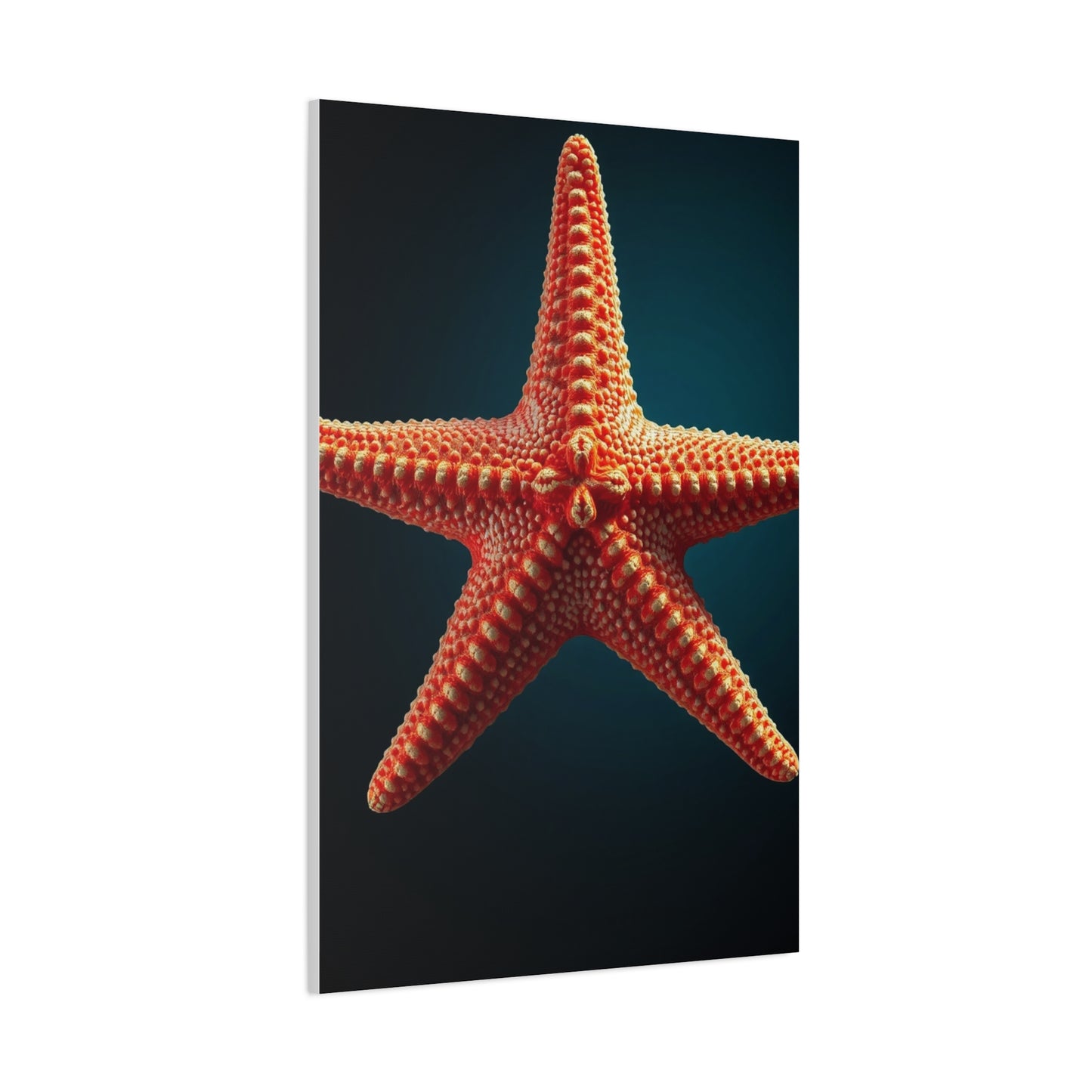 Elite Starfish Art Vision Wall Art & Canvas Print