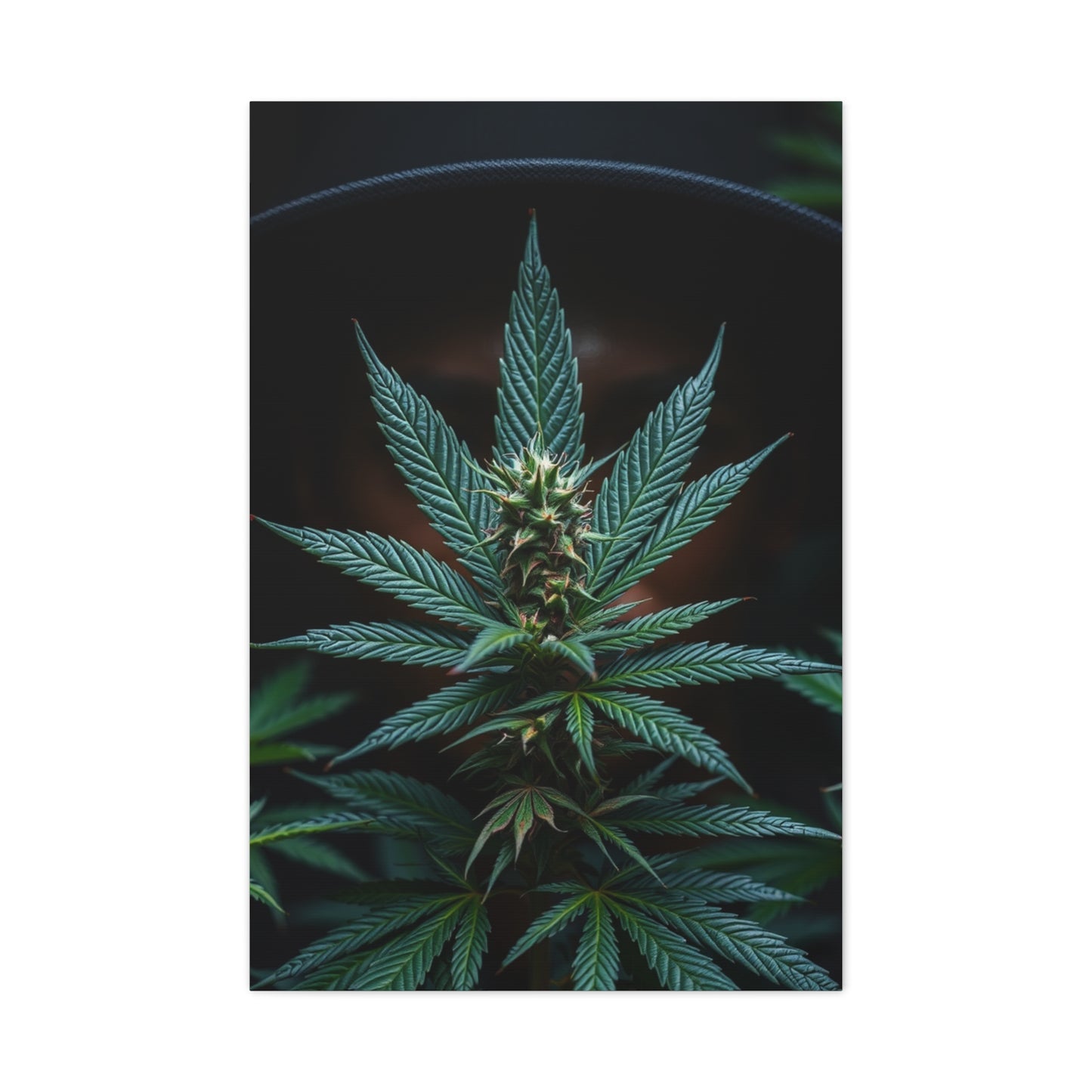 The Emerald Odyssey Wall Art & Canvas Print