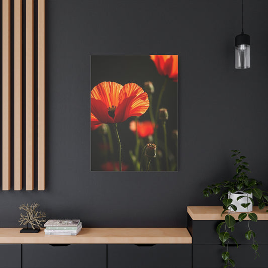 Poppy Flower Art Luxury Canvas Wall Art & Canvas Print