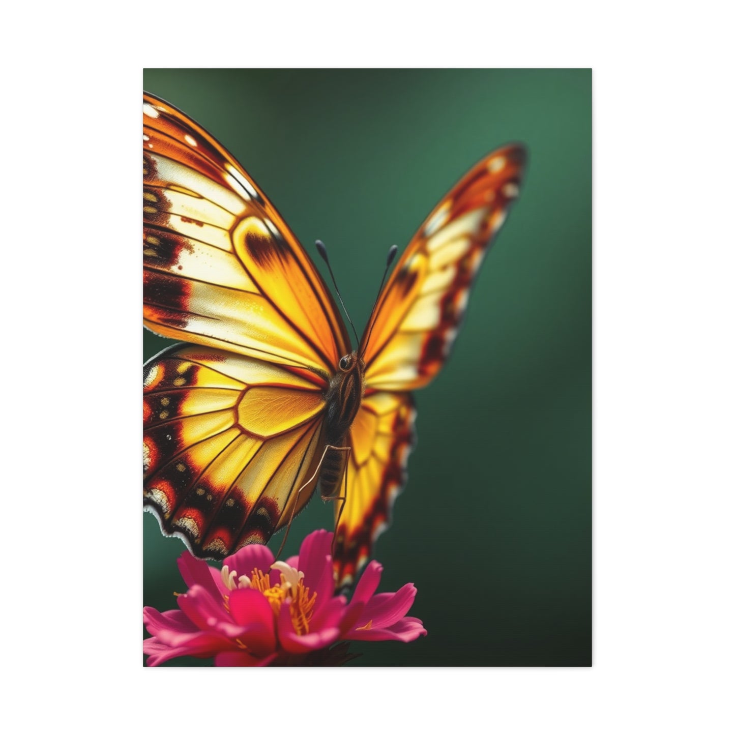 Chrysalis Symphony Wall Art Wall Art & Canvas Print