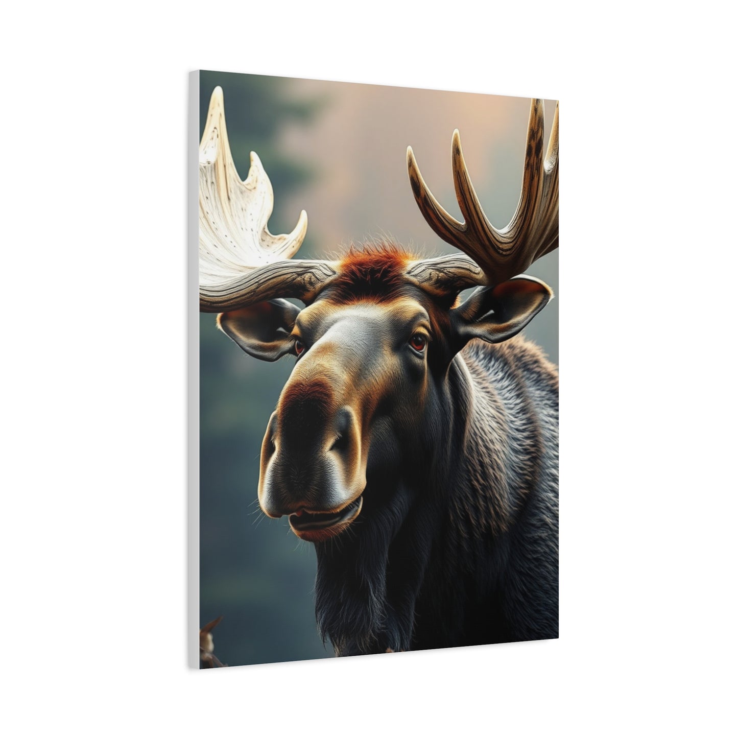 Supreme Moose Art Collection Wall Art & Canvas Print