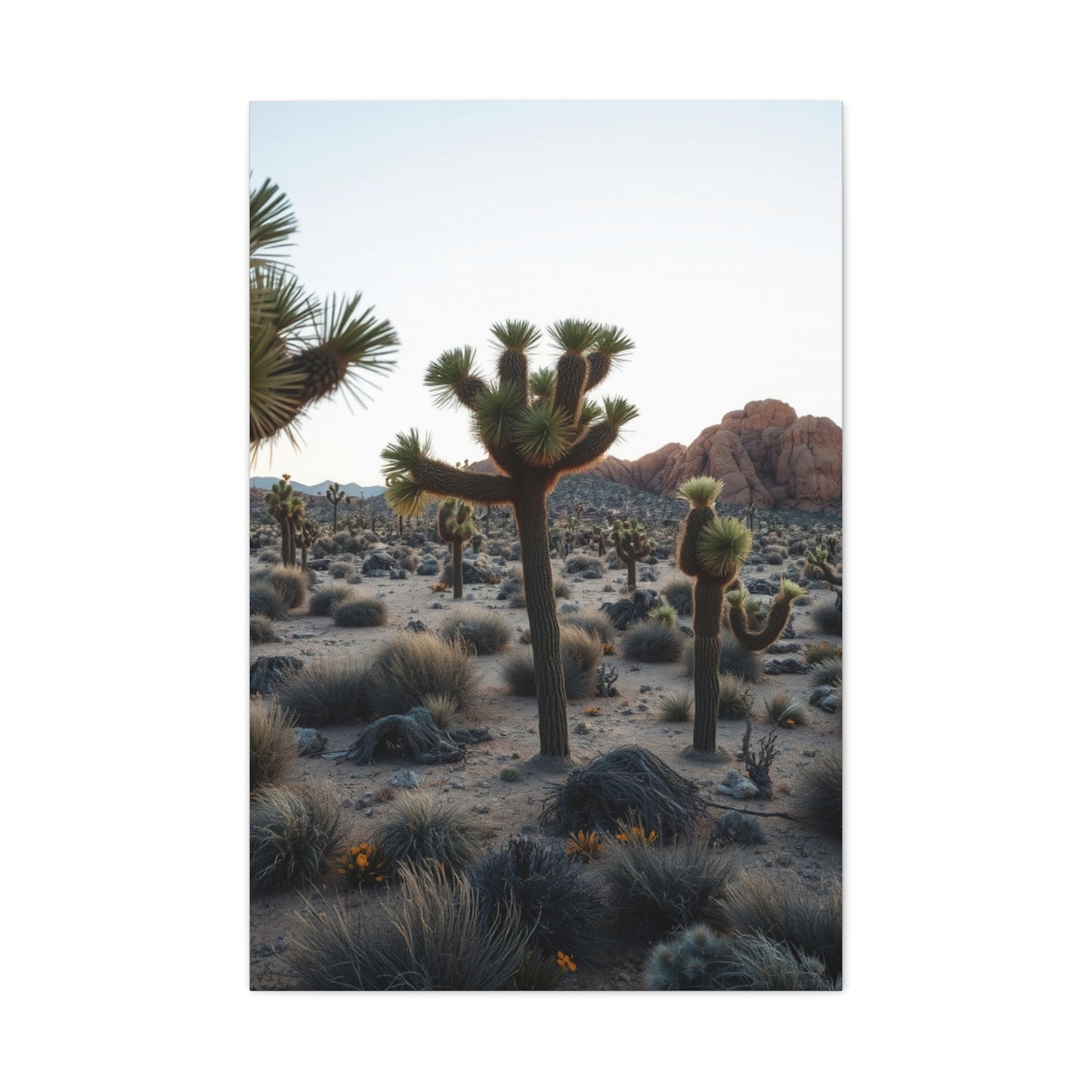 Joshua Tree National Park Art Refined Canvas Wall Art & Canvas Print