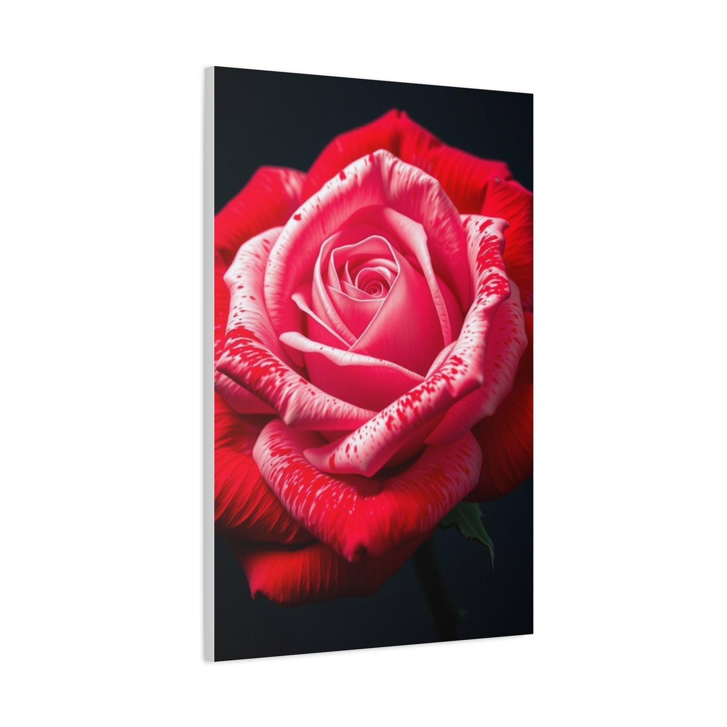 Collection Rose Flower Art Art Wall Art & Canvas Print