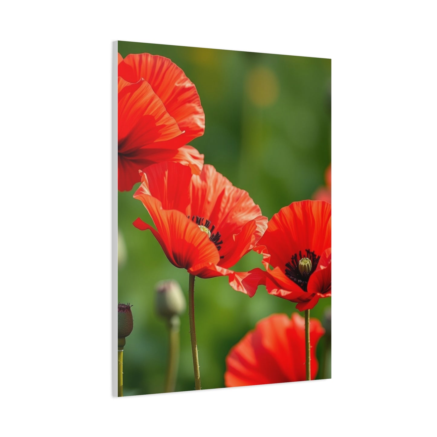 Poppy Flower Art Supreme Gallery Wall Art & Canvas Print