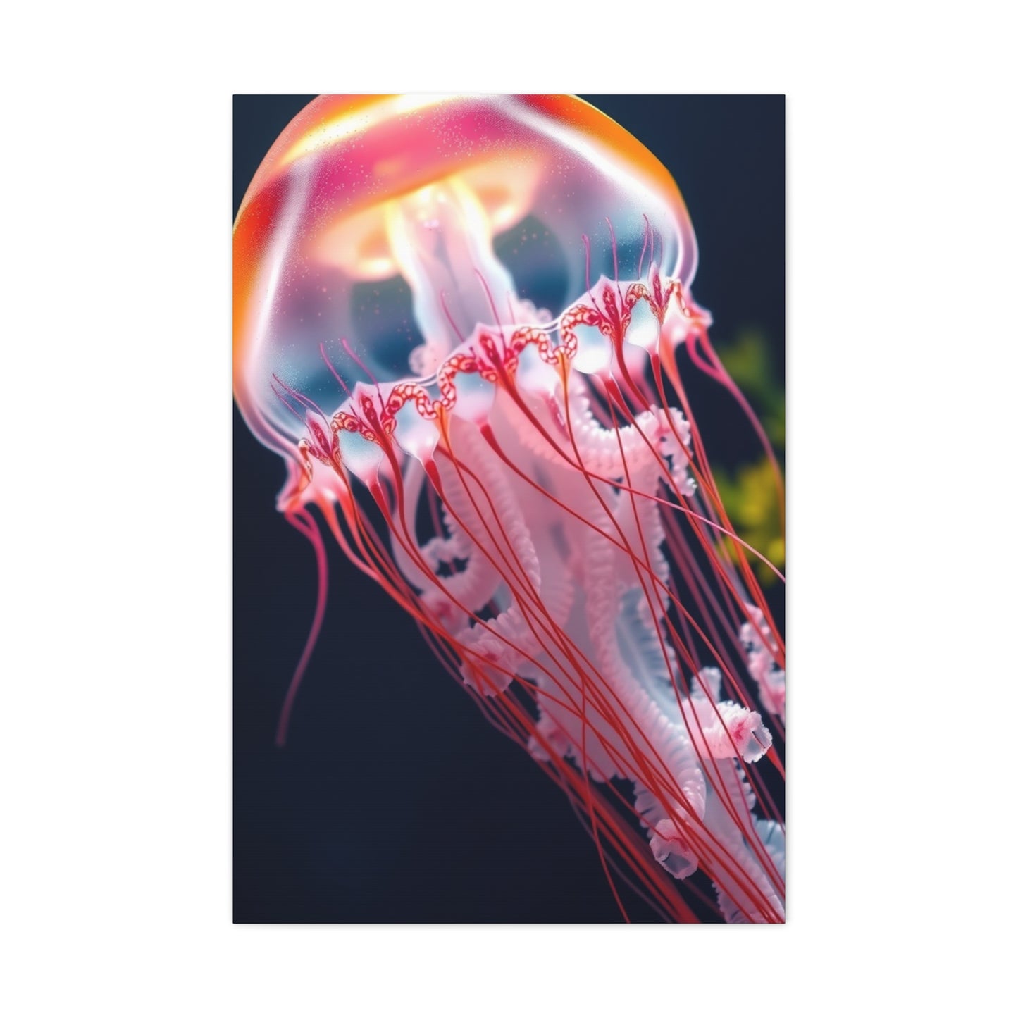 Supreme Jellyfish Art Collection Wall Art & Canvas Print
