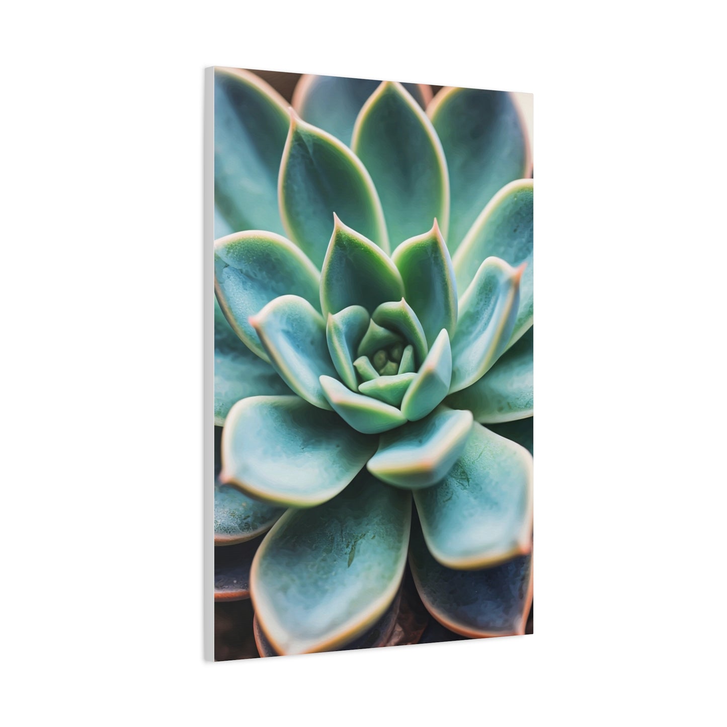Sage Succulent Bloom Wall Art & Canvas Prints