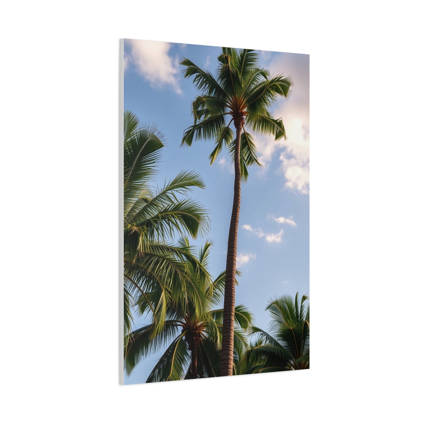 Serene Palms Composition Wall Art & Canvas Print