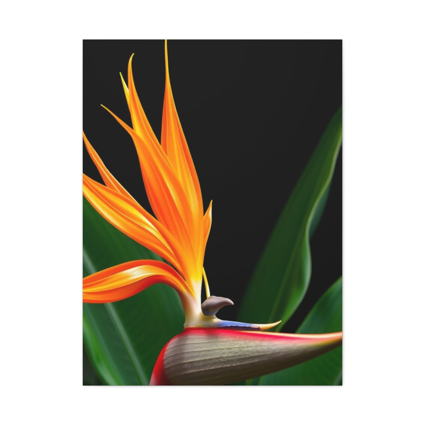 Bird of Paradise Plant Art Refined Canvas Wall Art & Canvas Print