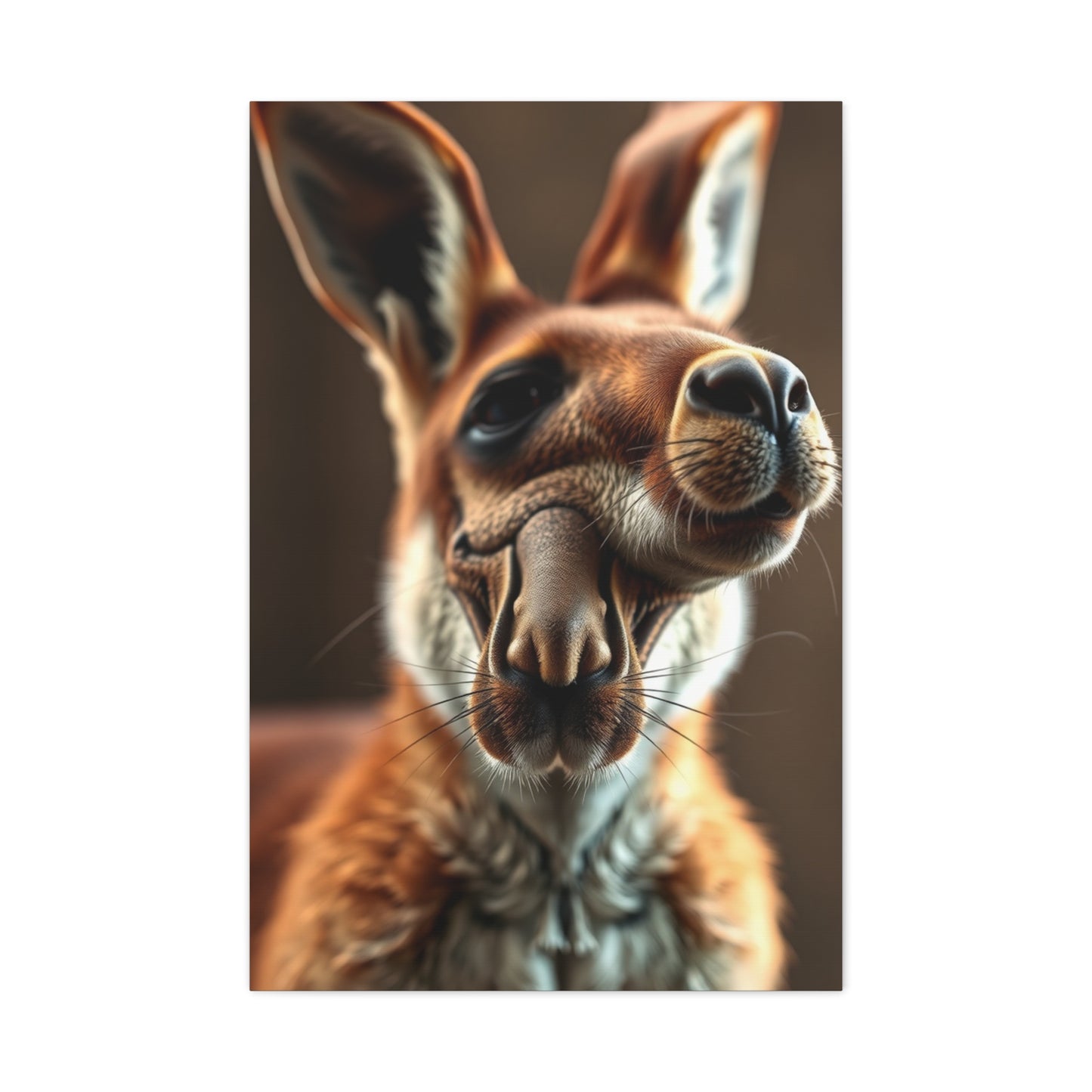 Supreme Kangaroo Art Collection Wall Art & Canvas Print