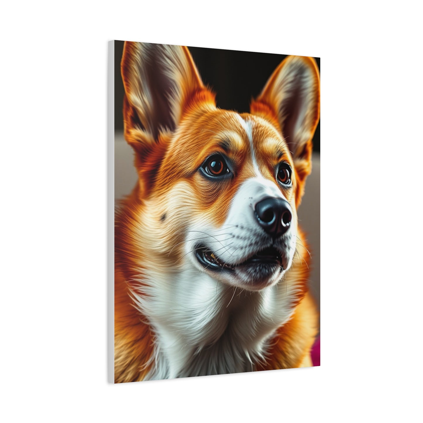 Supreme Corgi Dog Art Collection Wall Art & Canvas Print