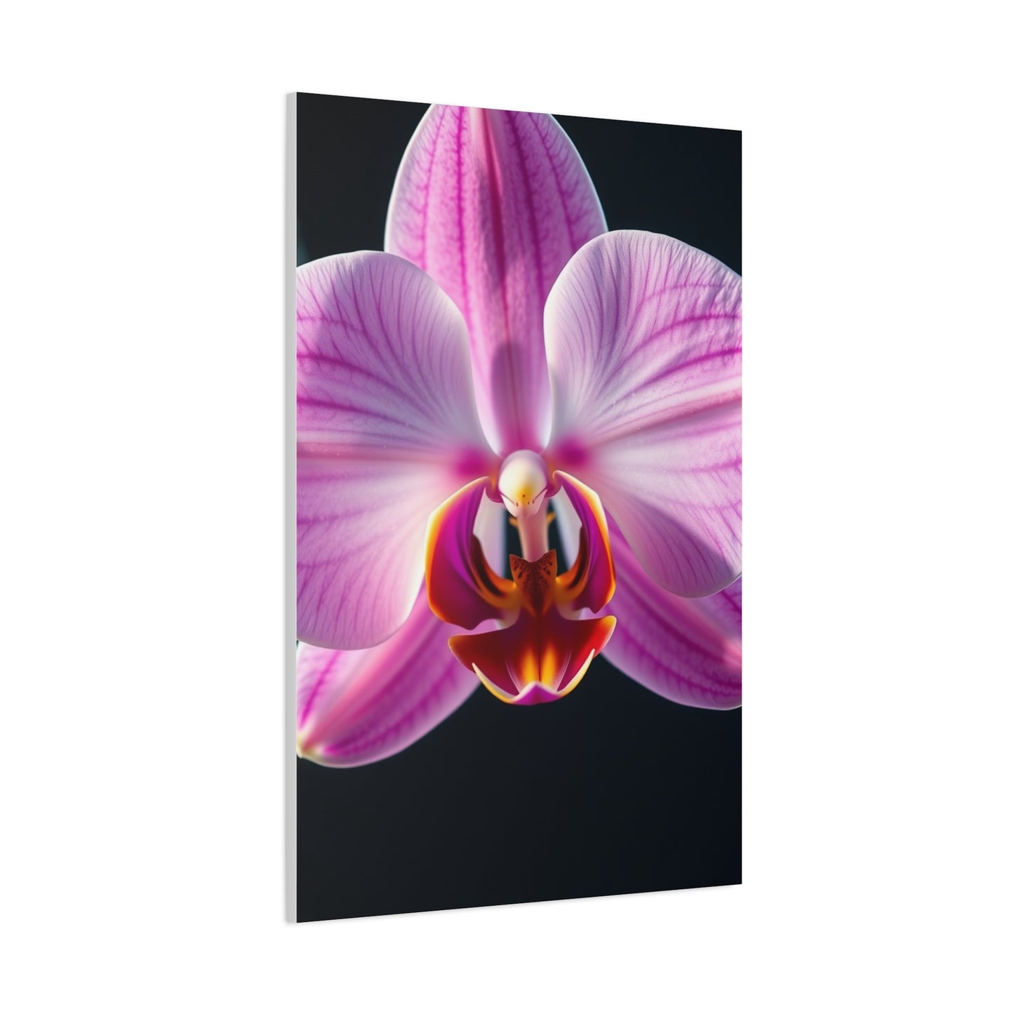 Supreme Orchid Flower Art Collection Wall Art & Canvas Print