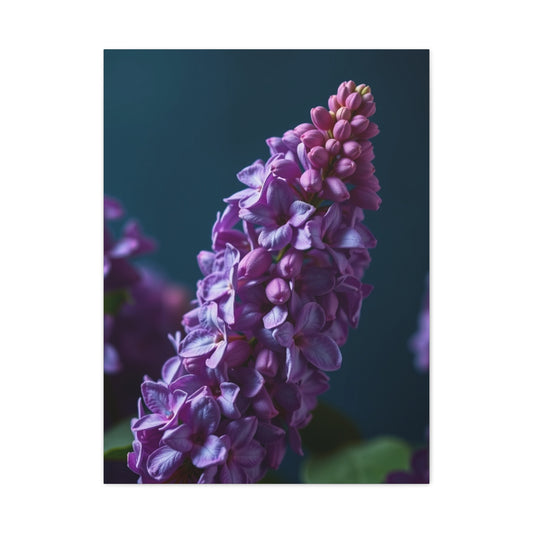 Elite Lilac Flower Art Vision Wall Art & Canvas Print