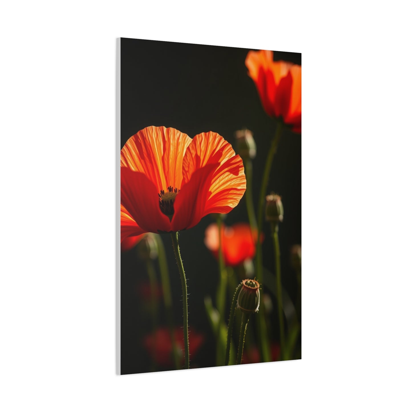 Poppy Flower Art Luxury Canvas Wall Art & Canvas Print