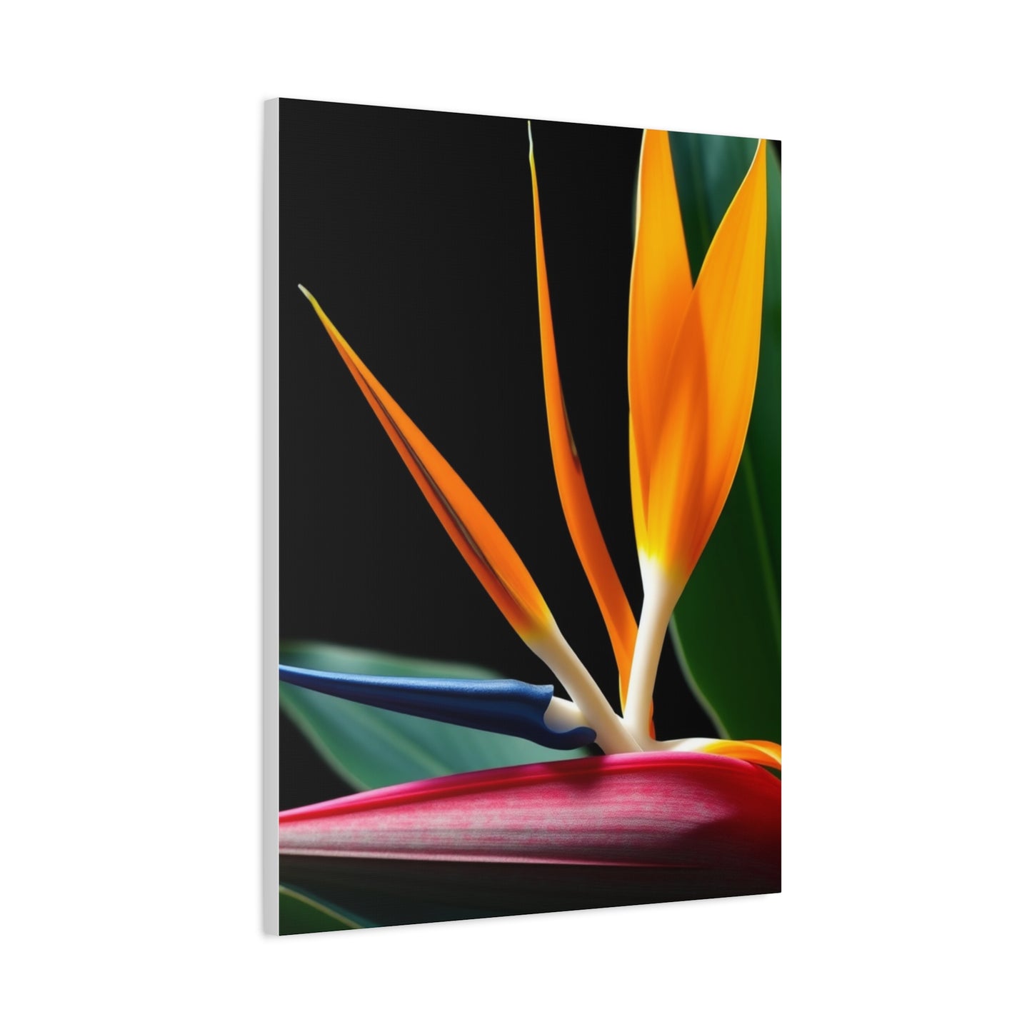 Collection Bird of Paradise Plant Art Art Wall Art & Canvas Print