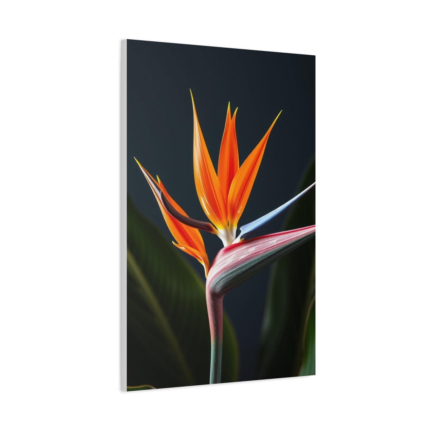 Supreme Bird of Paradise Plant Art Collection Wall Art & Canvas Print