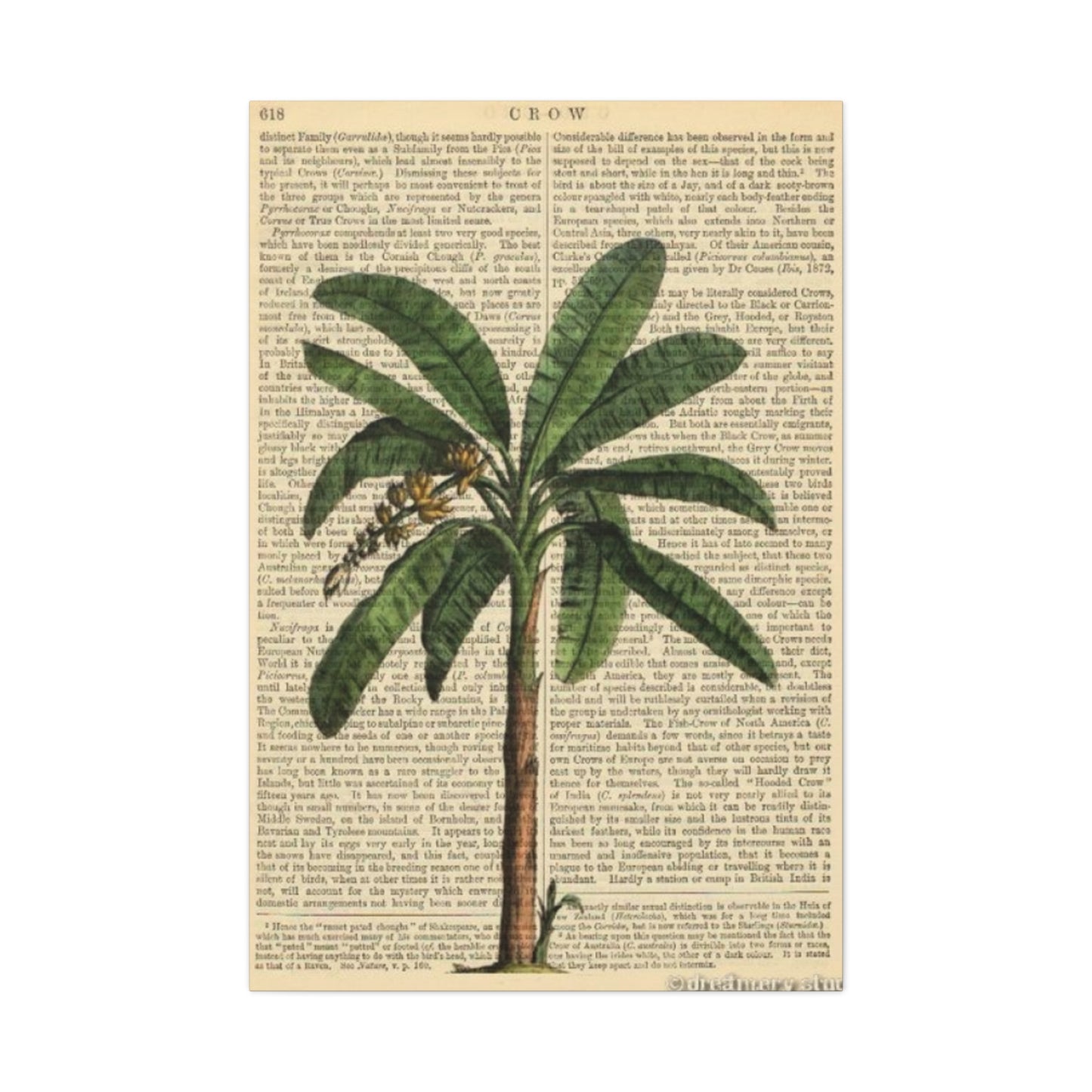 Palm Tree Painting On Vintage Paper Wall Art & Canvas Prints
