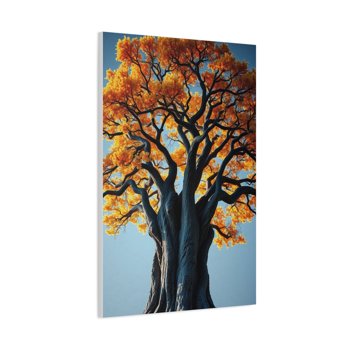 Oak Tree Art Supreme Gallery Wall Art & Canvas Print