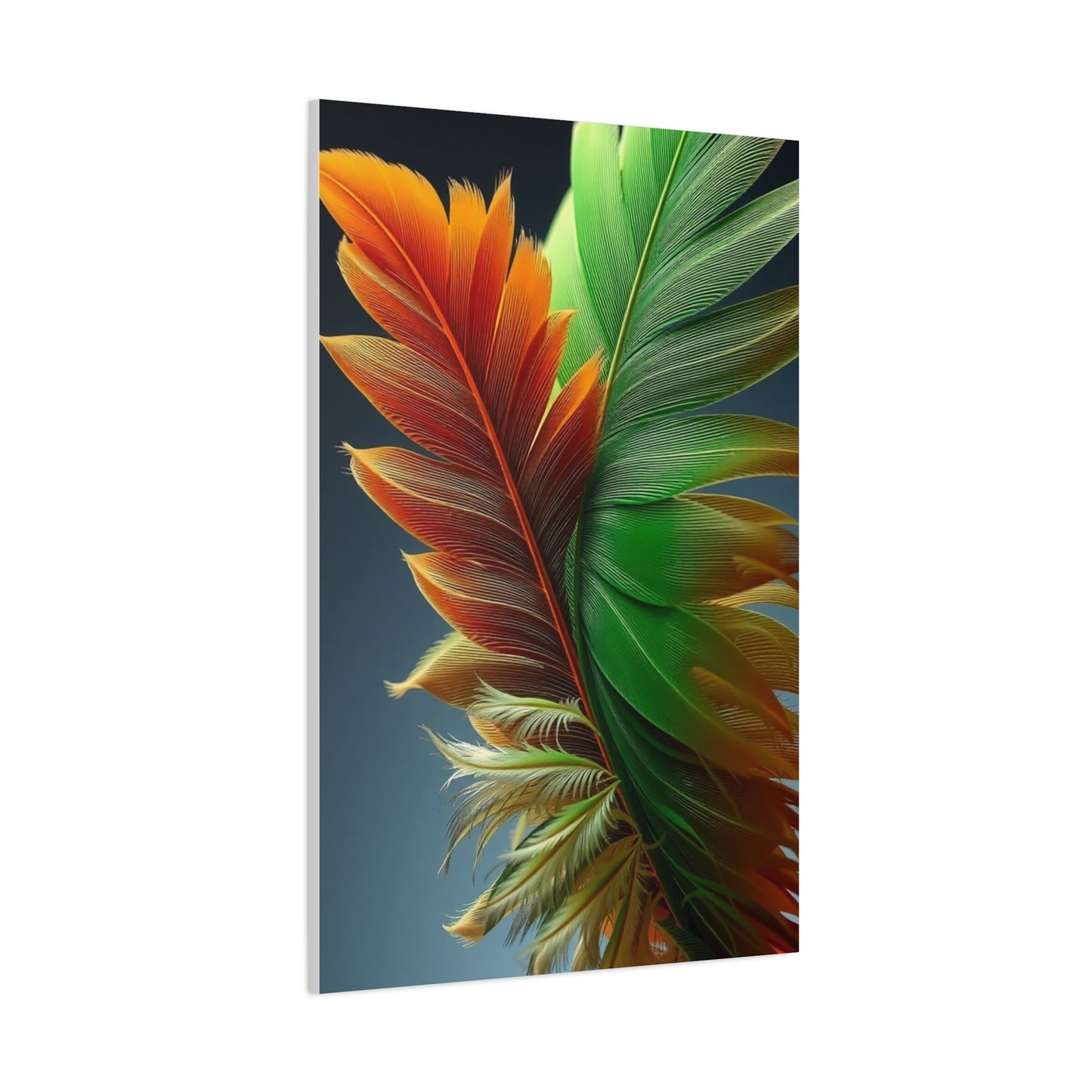 Supreme Feather Art Collection Wall Art & Canvas Print