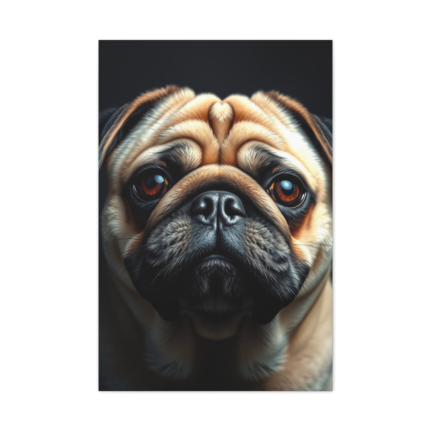 Supreme Pug Art Collection Wall Art & Canvas Print
