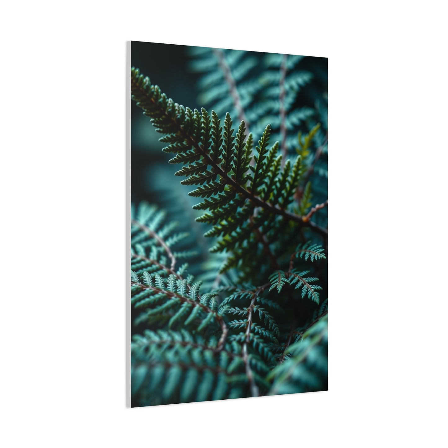 Collection Fern Art Art Wall Art & Canvas Print
