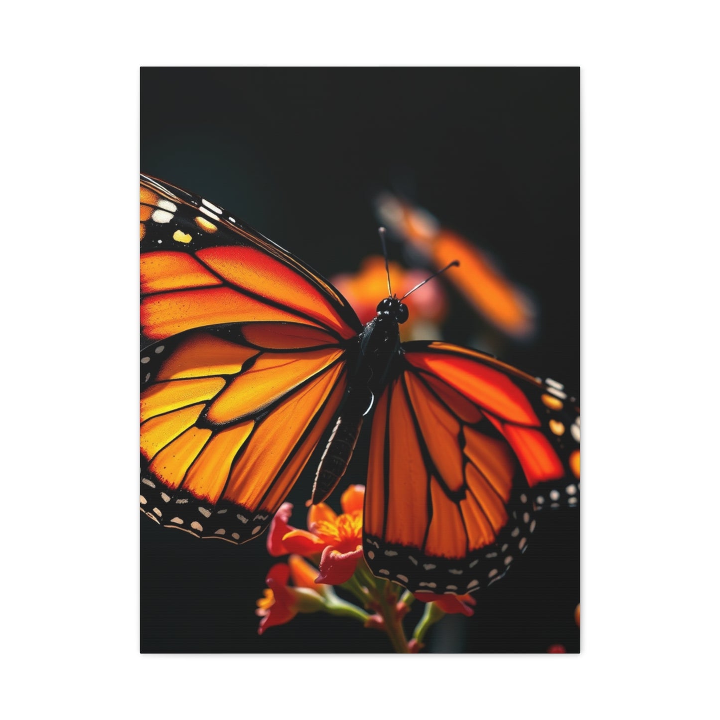 Elite Monarch Butterflies Art Vision Wall Art & Canvas Print