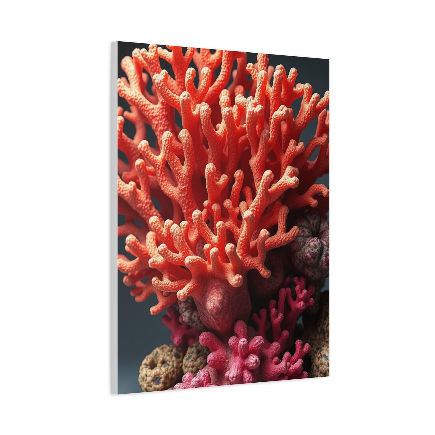 Collection Coral Art Art Wall Art & Canvas Print
