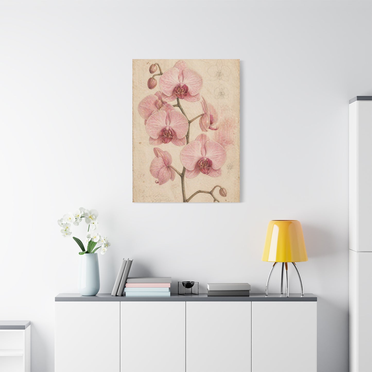 Vintage Orchid Botanical Study Wall Art & Canvas Print