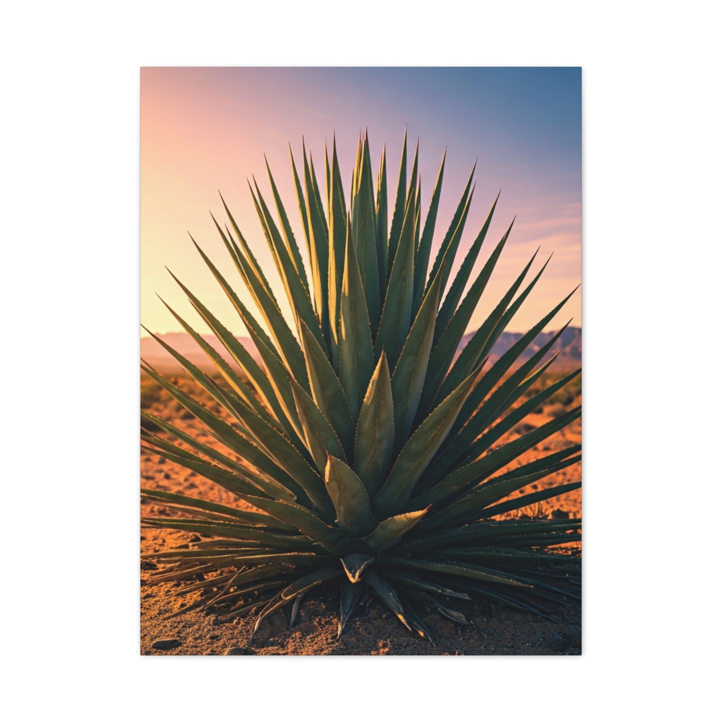 Desert Agave Sunburst Wall Art & Canvas Prints