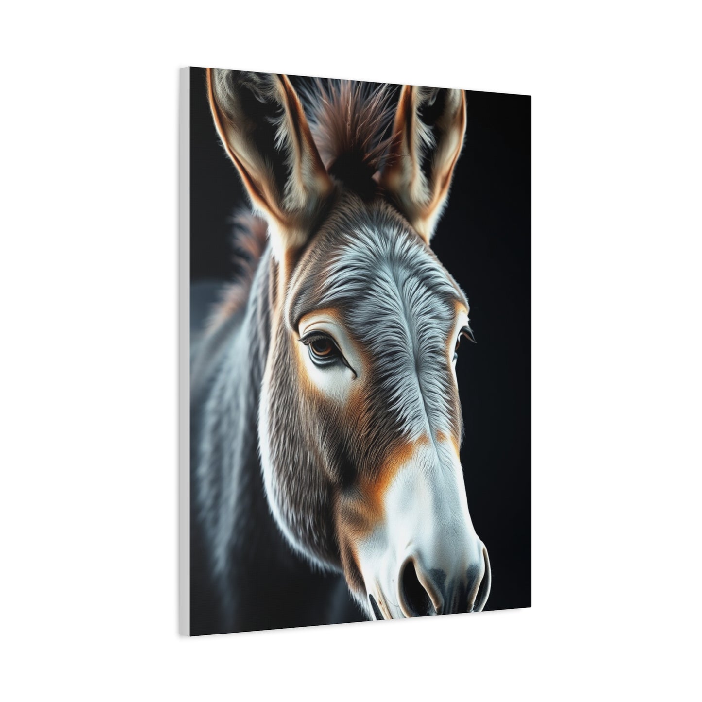 Supreme Donkey Art Collection Wall Art & Canvas Print
