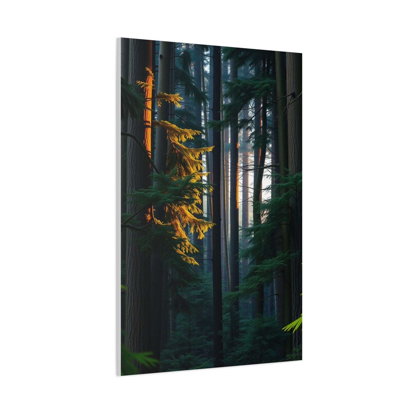 Mystic Woodland Tableau Wall Art & Canvas Print