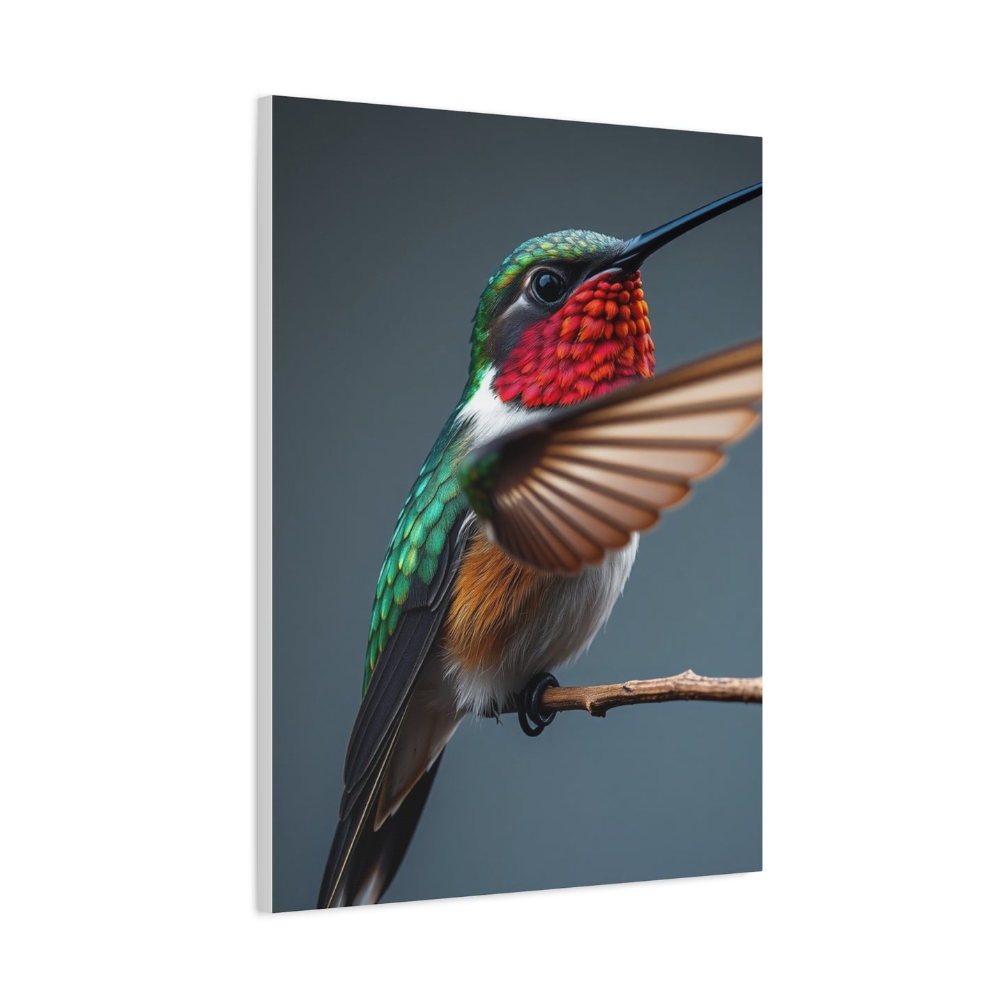 Humming Bird Art Luxury Canvas Wall Art & Canvas Print