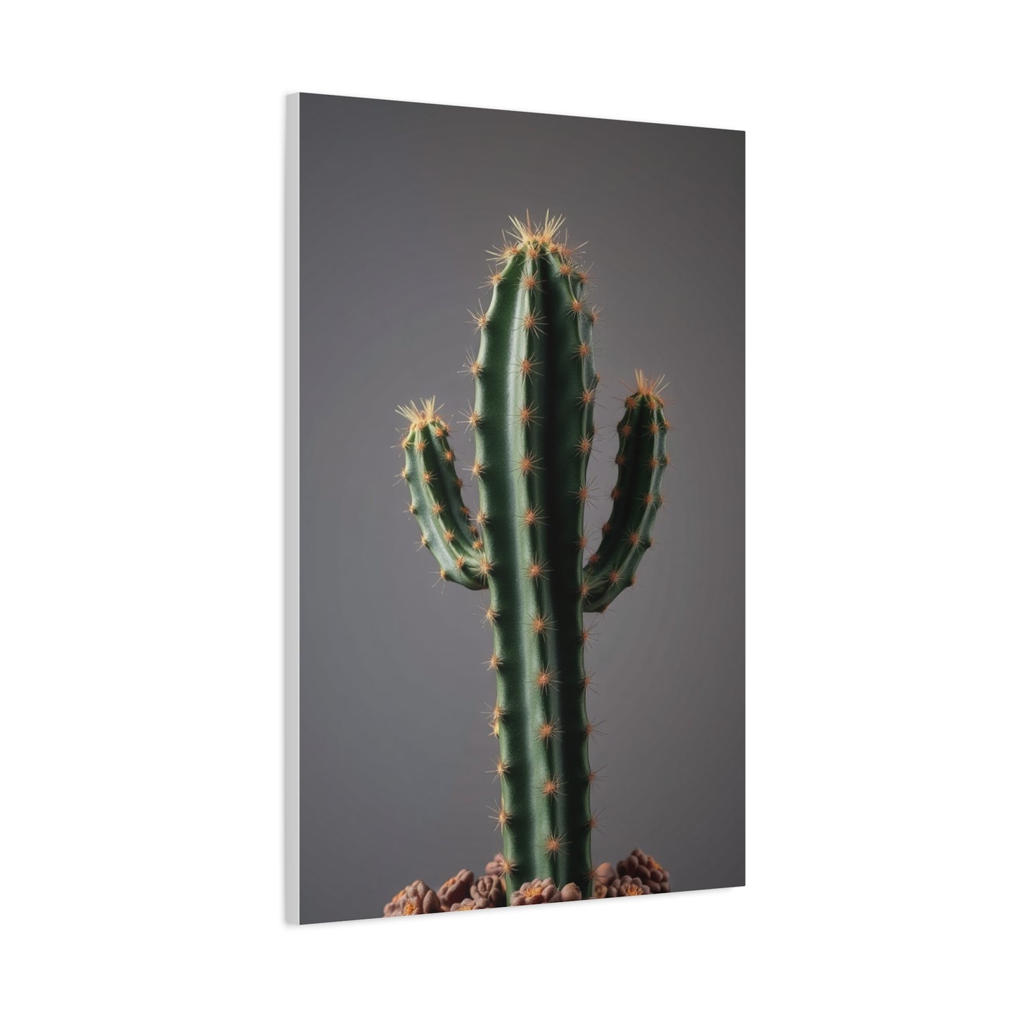 Succulent Reverie Art Wall Art & Canvas Print