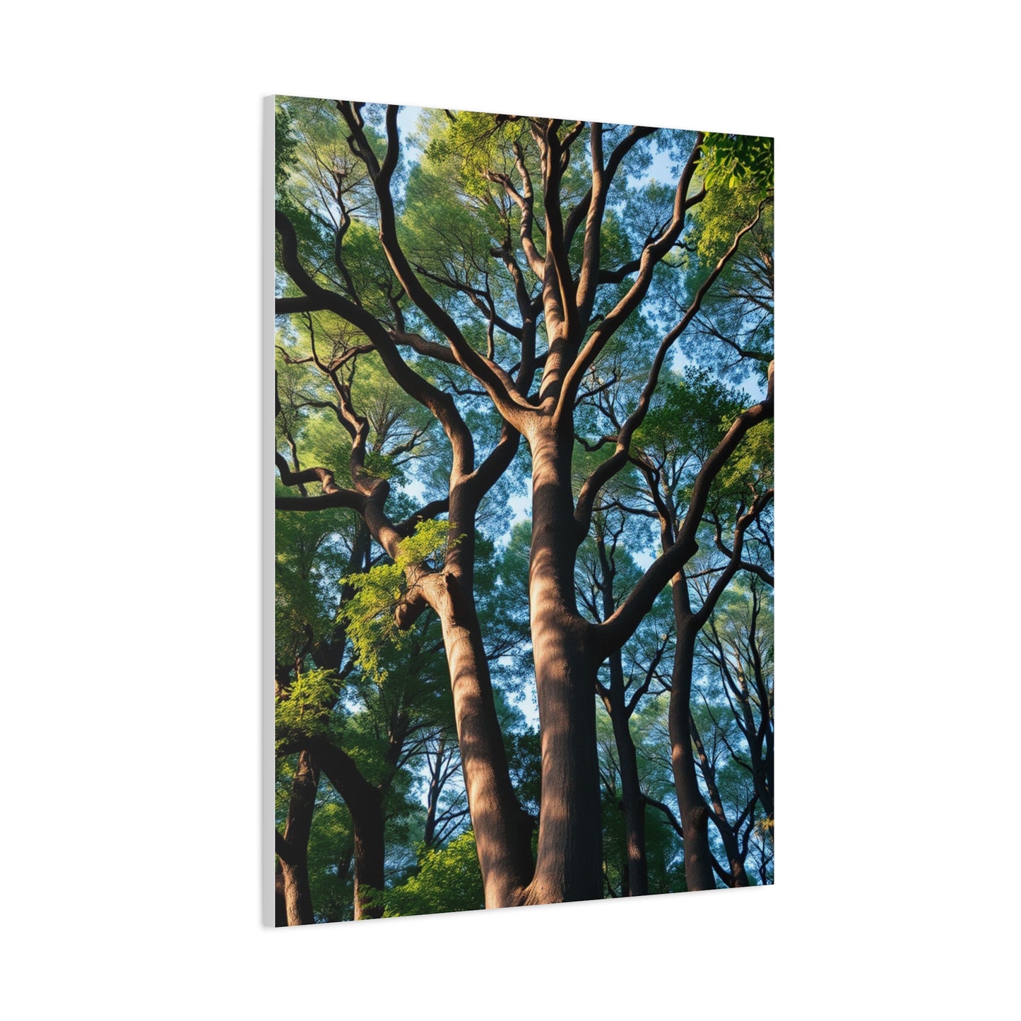 Gilded Forest Impression Wall Art & Canvas Print