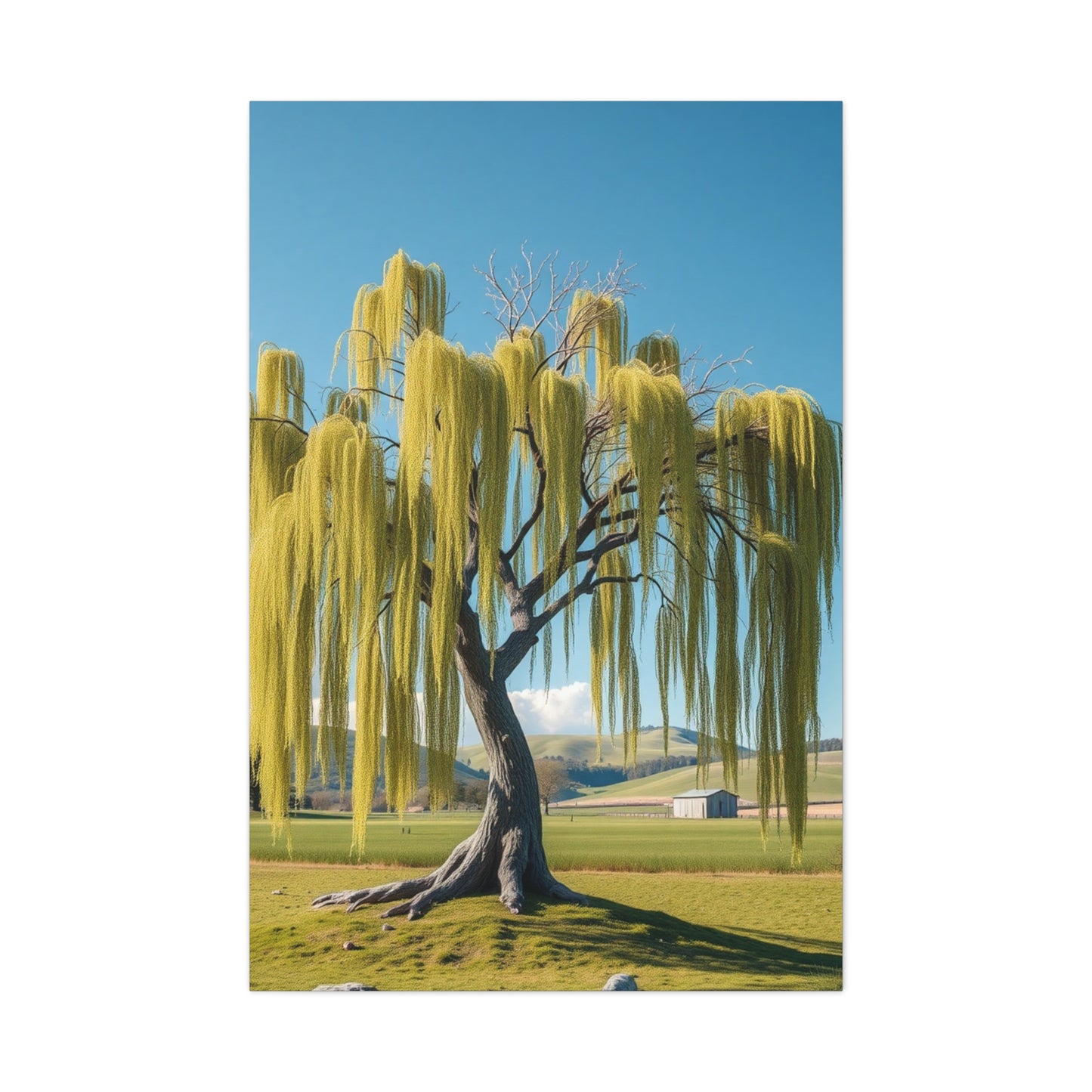 Elite Willow Tree Art Vision Wall Art & Canvas Print