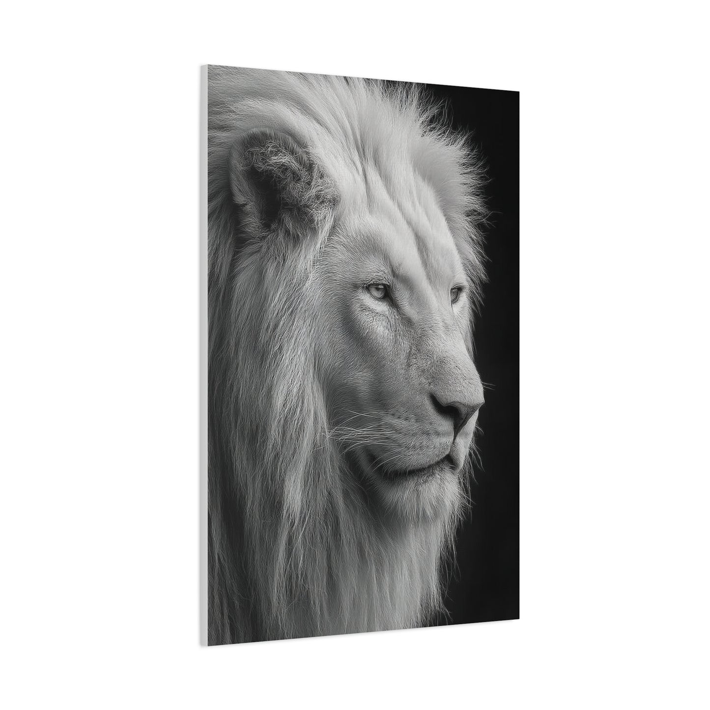 White Lion Monochrome Close Portrait Wall Art & Canvas Print