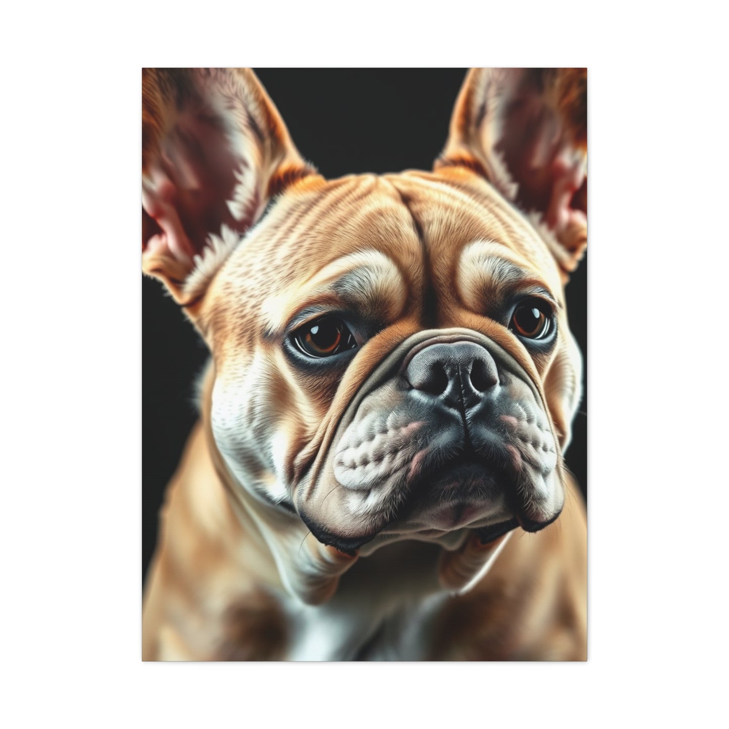 Supreme French Bulldog Art Collection Wall Art & Canvas Print